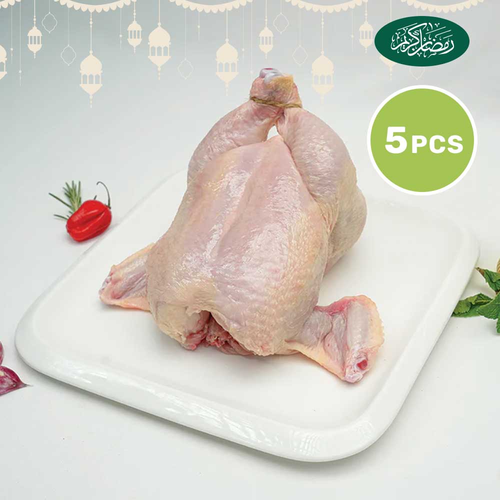 Medium Chicken