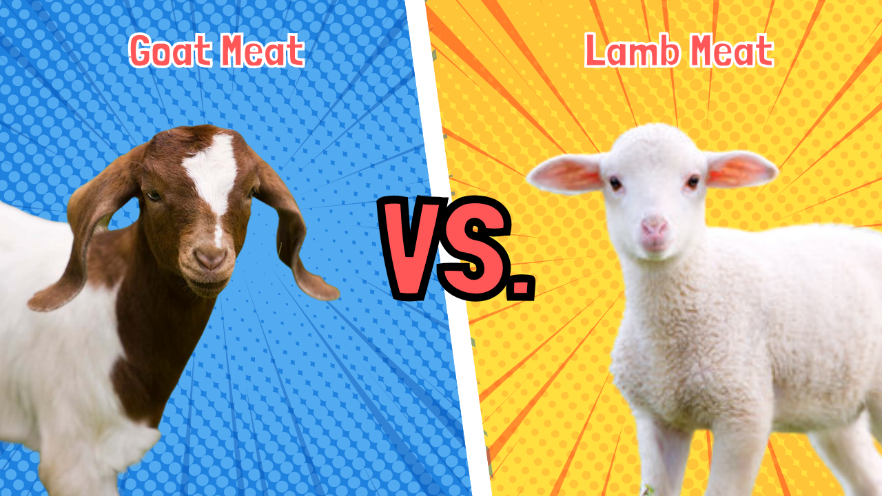 Goat Meat vs. Lamb Meat: Comparison of Flavour, Nutrition, and Culinary Uses