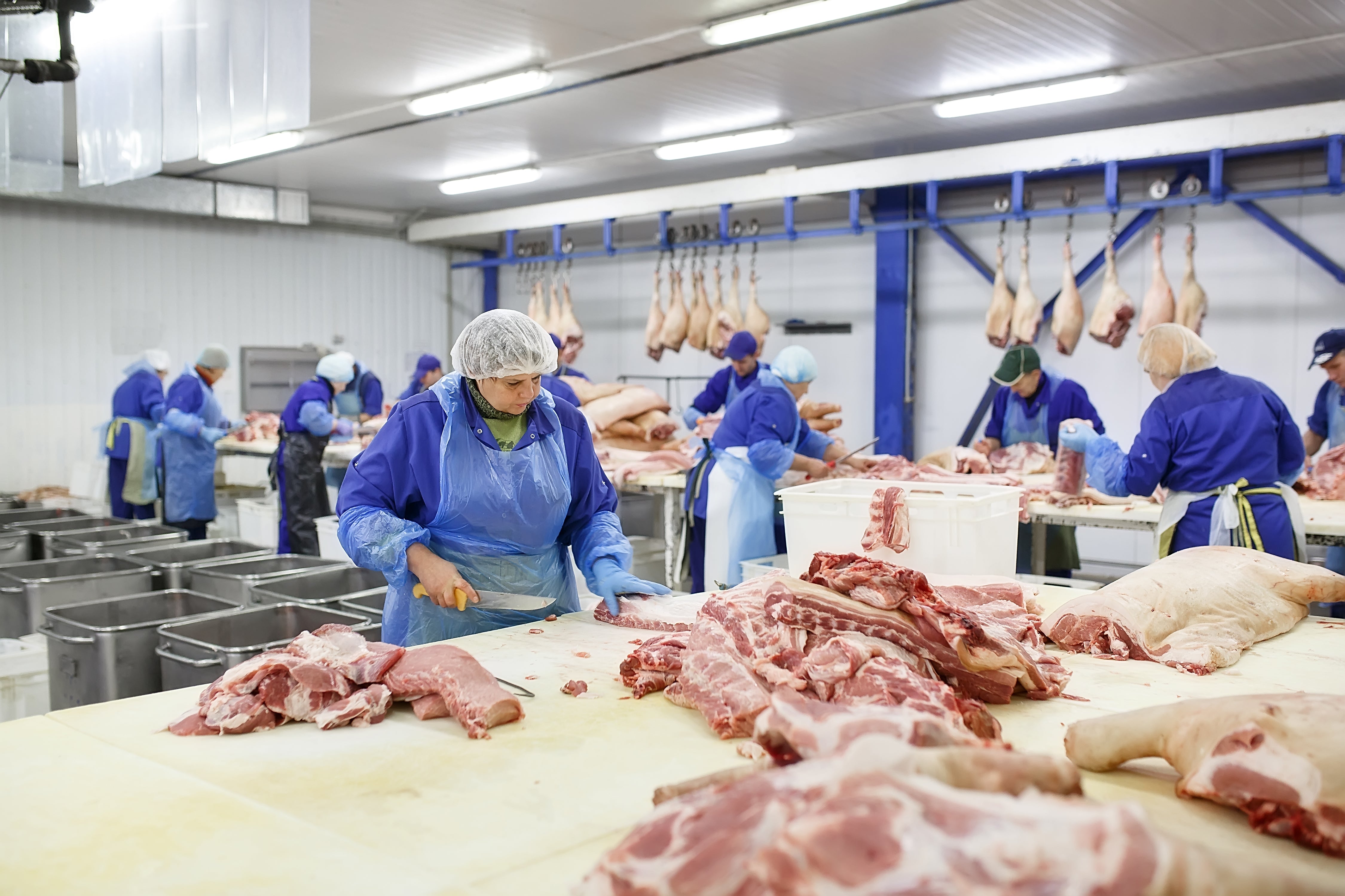 Halal Meat Myths Busted: Separating Facts from Fiction