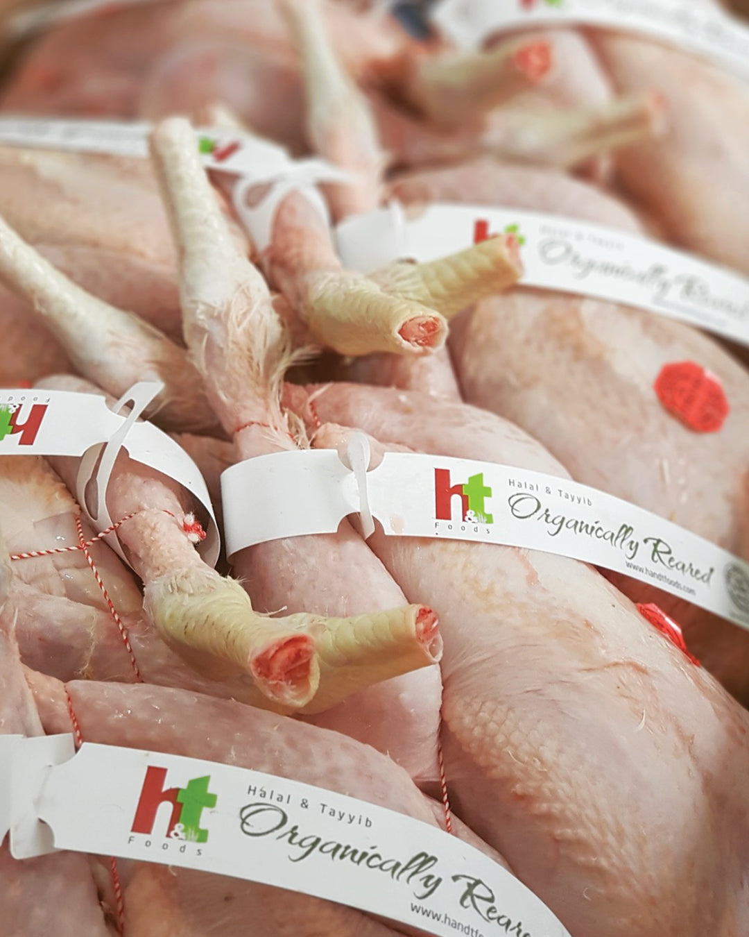 Organic Chicken