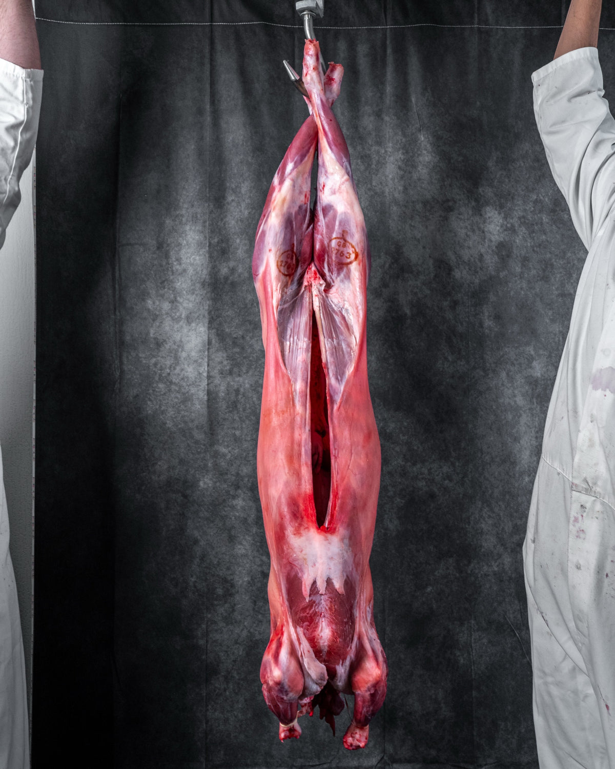 Fresh Halal Whole Lamb