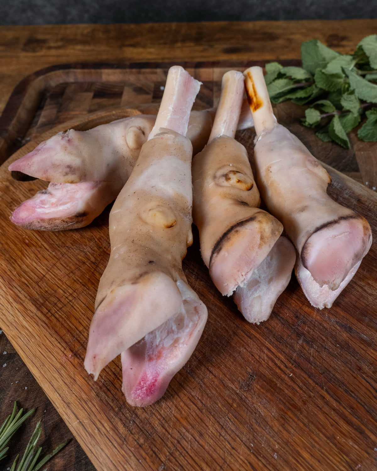 Lamb Paya