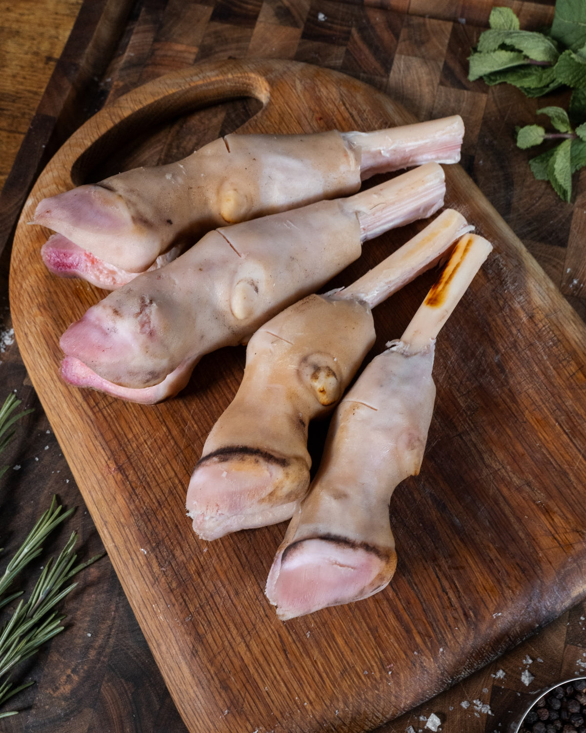 Lamb Paya