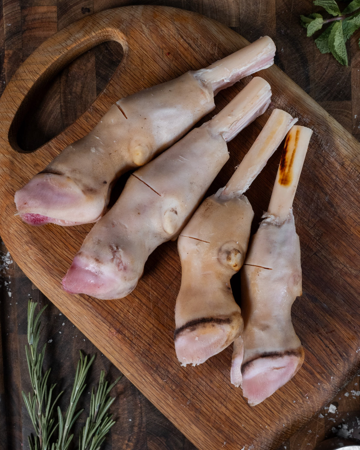 Lamb Paya